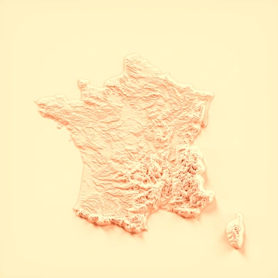 remplacement IDEL France